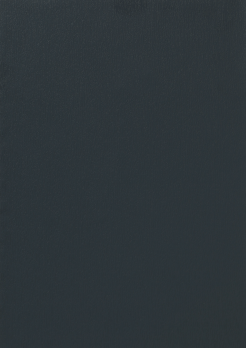 Anthracite Grey